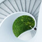A top-down view of a spiral staircase with a lush green center garden.