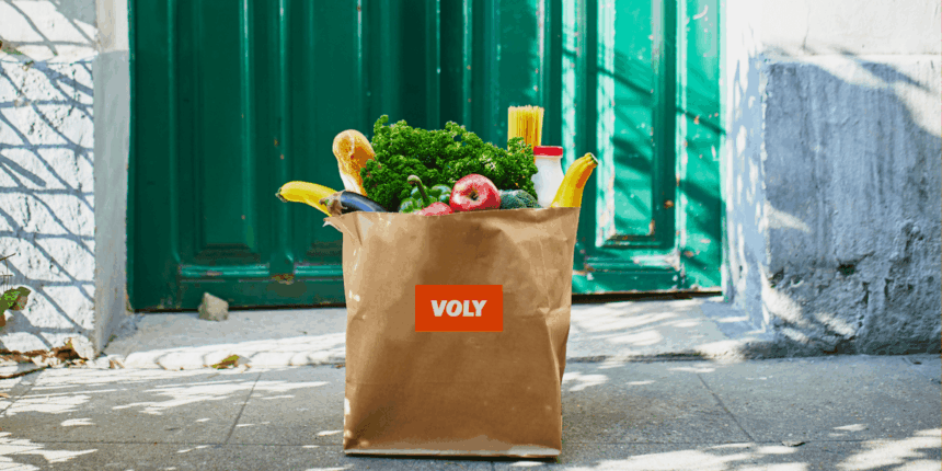 A brown paper bag labeled VOLY filled with fresh groceries sits on the ground.