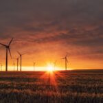 Wind turbines stand in a field during a vibrant, golden sunset.