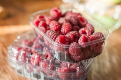 Two plastic containers stacked, filled with fresh red raspberries on a wooden surface.