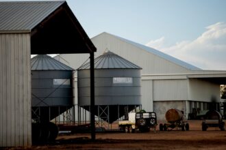 Grain storage silos and large sheds at an agricultural production facility, with farm equipment and trailers nearby.